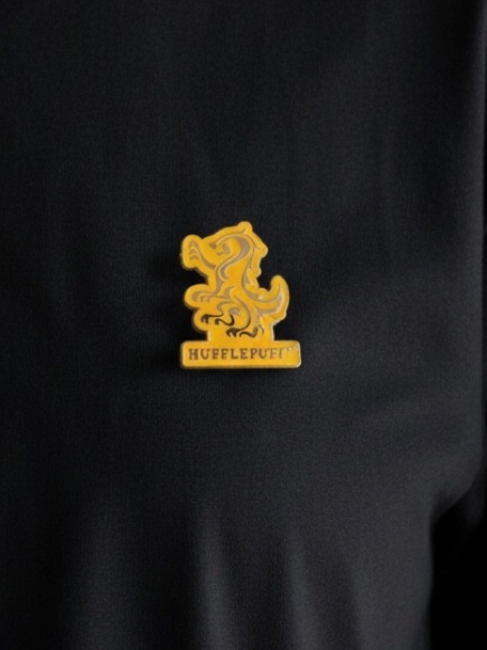 10/3 Harry Potter pin